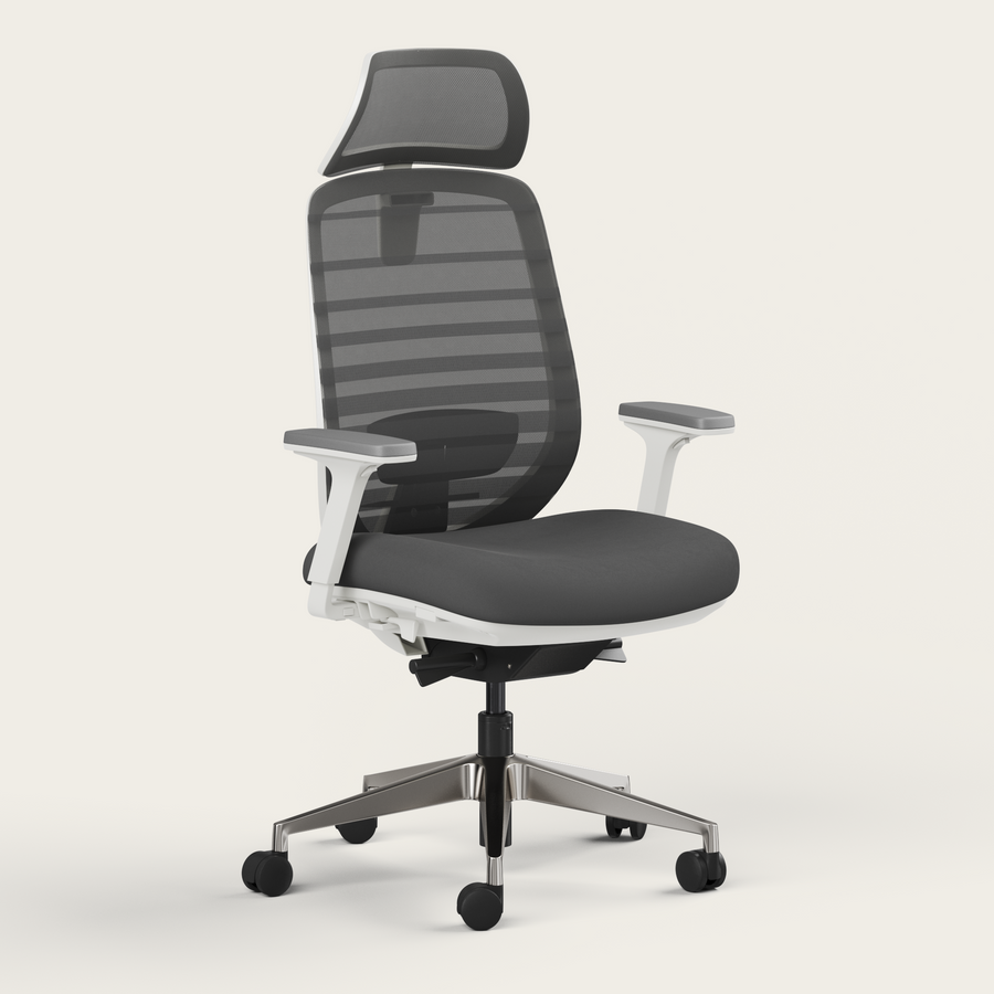 Ergo Pro 2.0 - Recess