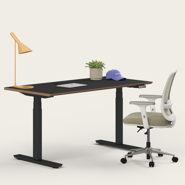Ergo Bundle
