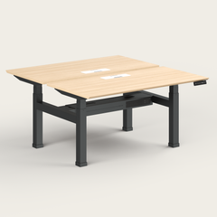 Dual Standing Desk - Recess