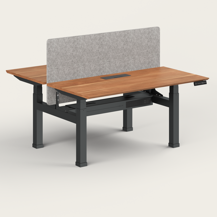 Dual Standing Desk - Recess