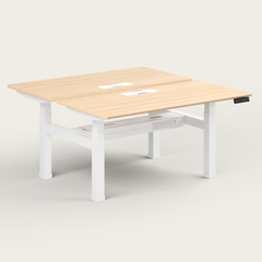 Dual Standing Desk - Recess