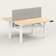 Dual Standing Desk - Recess