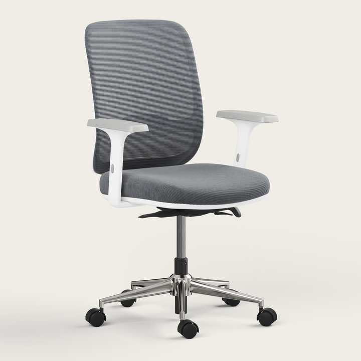 Ergo Chair
