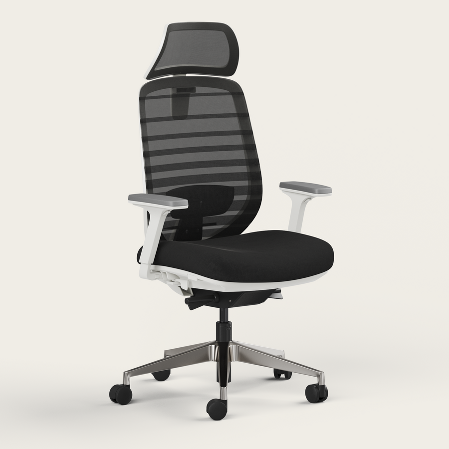 Ergo Pro 2.0 - Recess