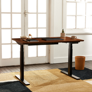 Standing Desk - Recess