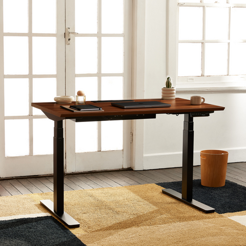 Standing Desk - Recess