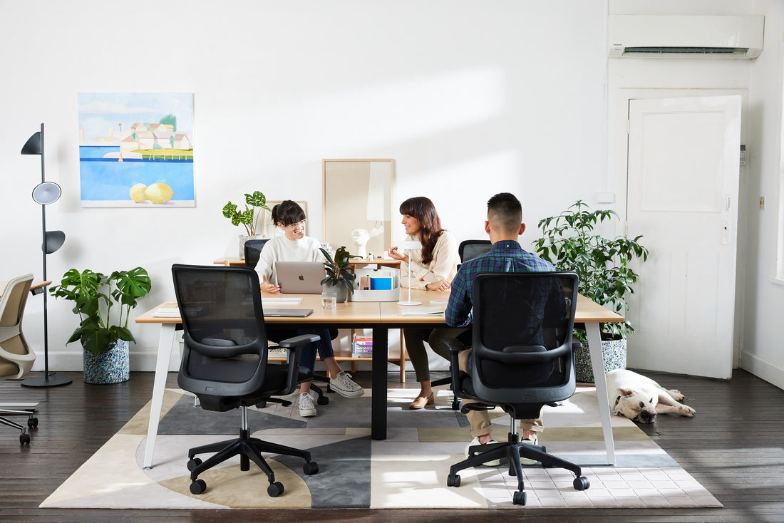 Team Office