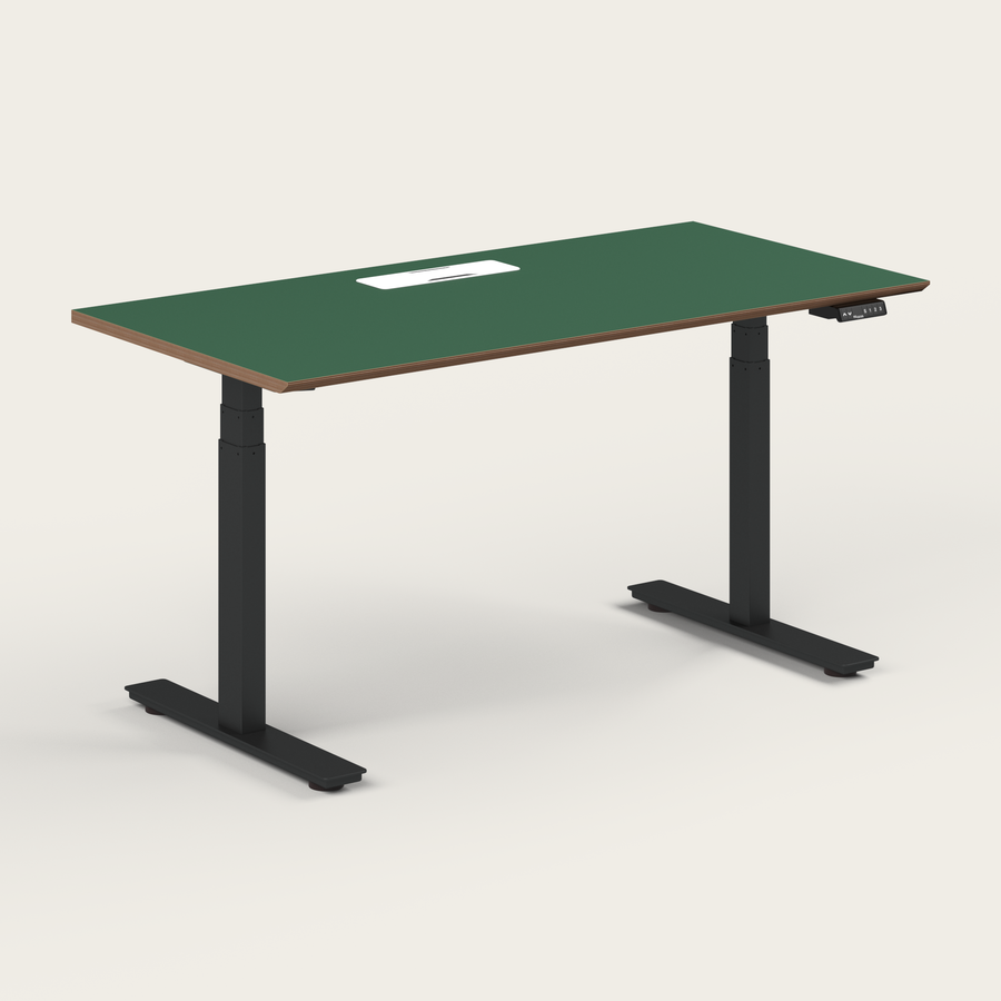Standing Desk - Recess
