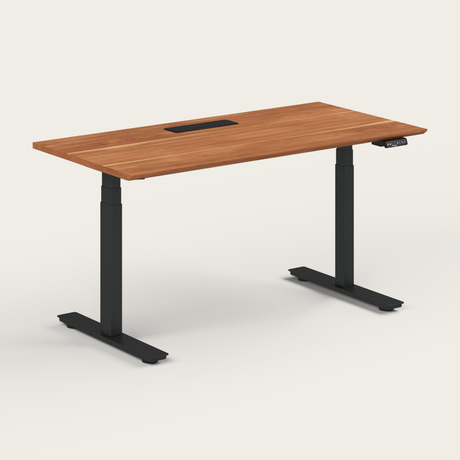 Standing Desk - Recess