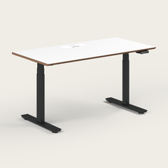 Standing Desk - Recess