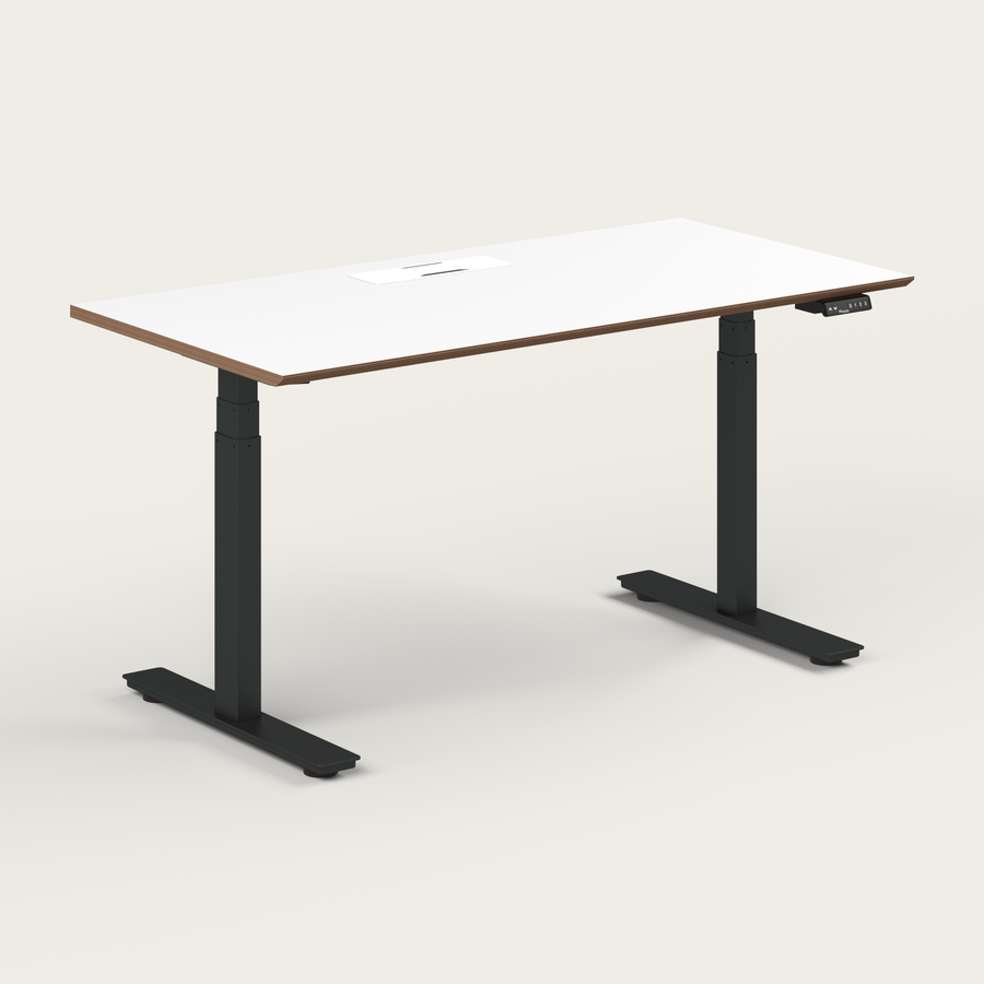 Standing Desk - Recess