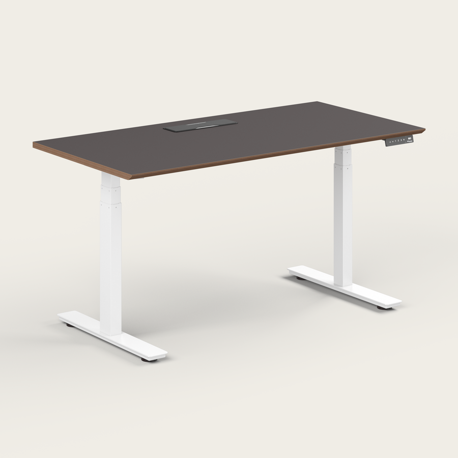 Standing Desk