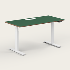 Standing Desk - Recess