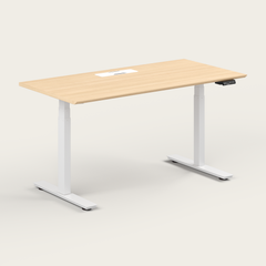 Standing Desk - Recess