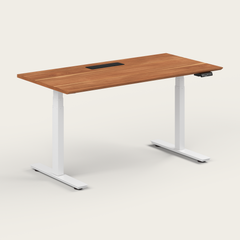 Standing Desk - Recess