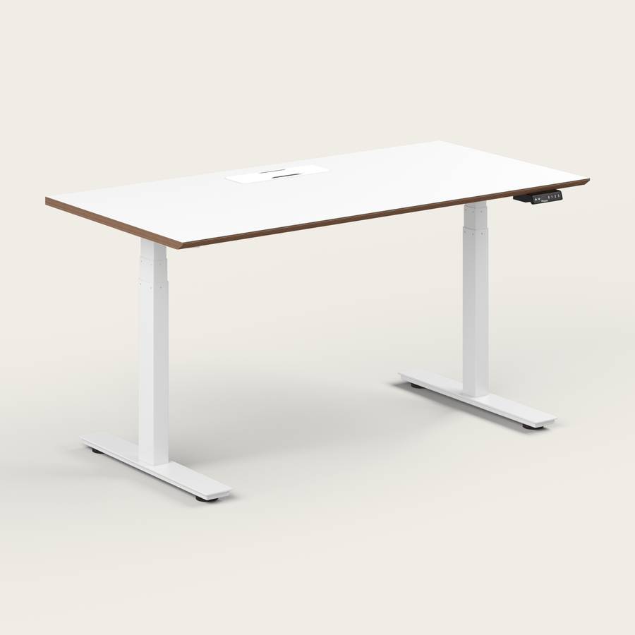 Standing Desk - Recess