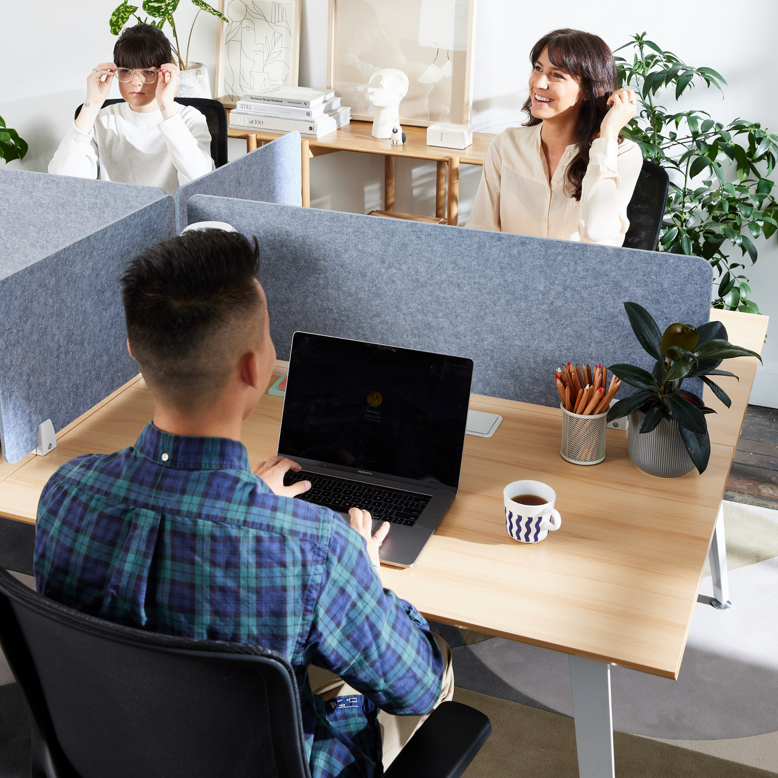 Desk Screens
