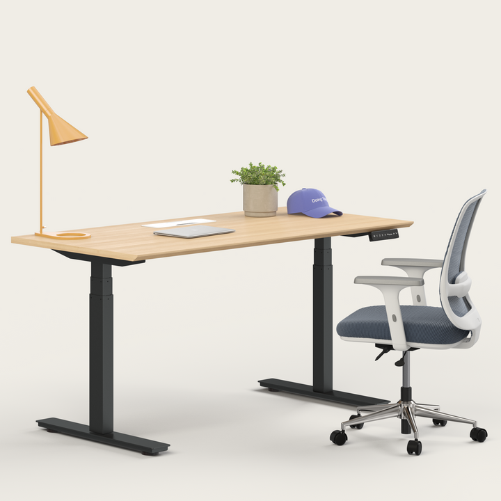 Ergo Bundle