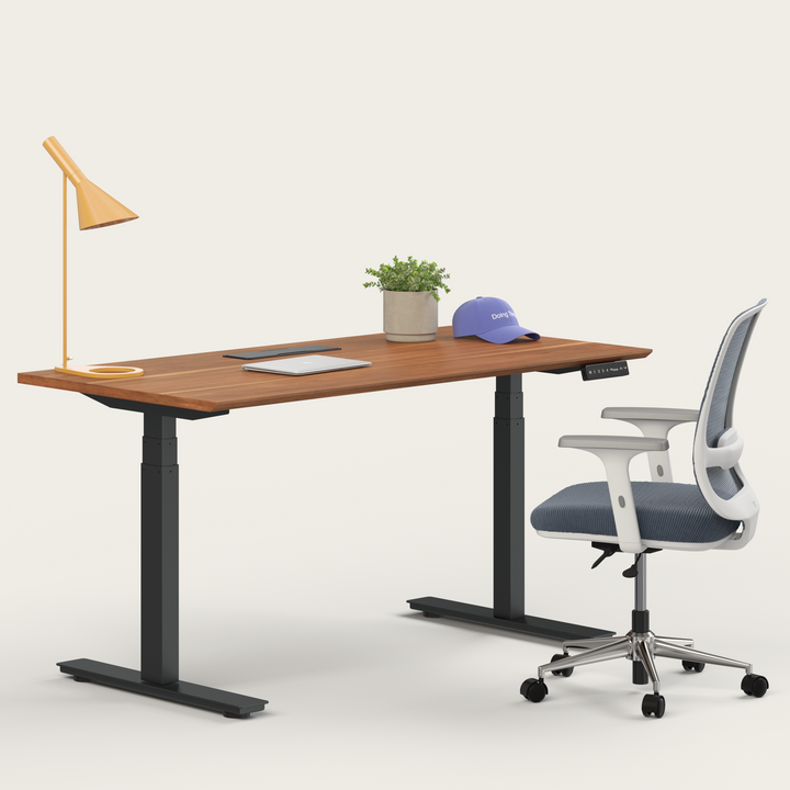 Ergo Bundle
