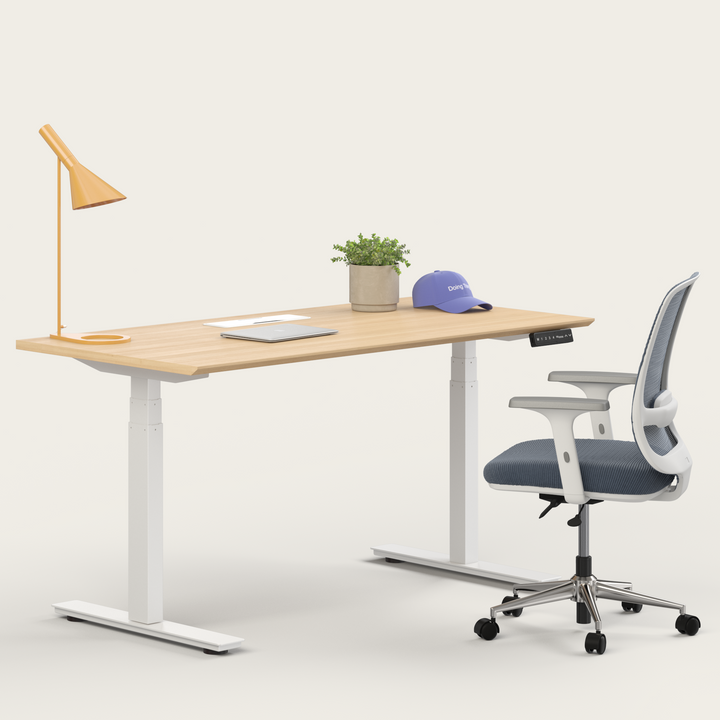 Ergo Bundle