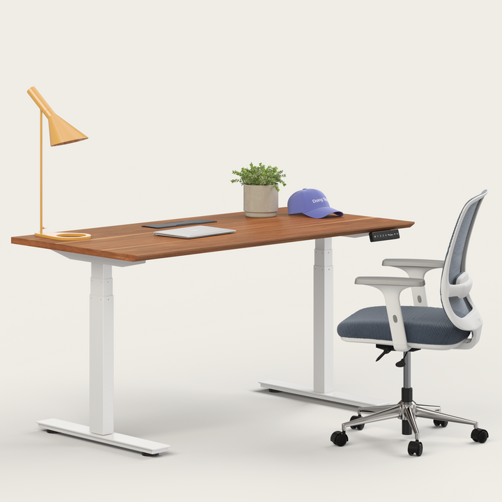 Ergo Bundle