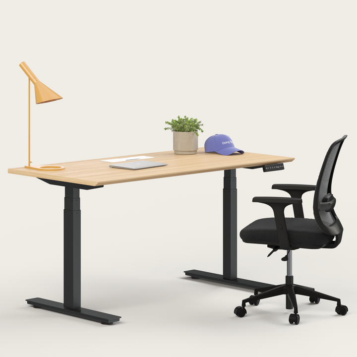 Ergo Bundle