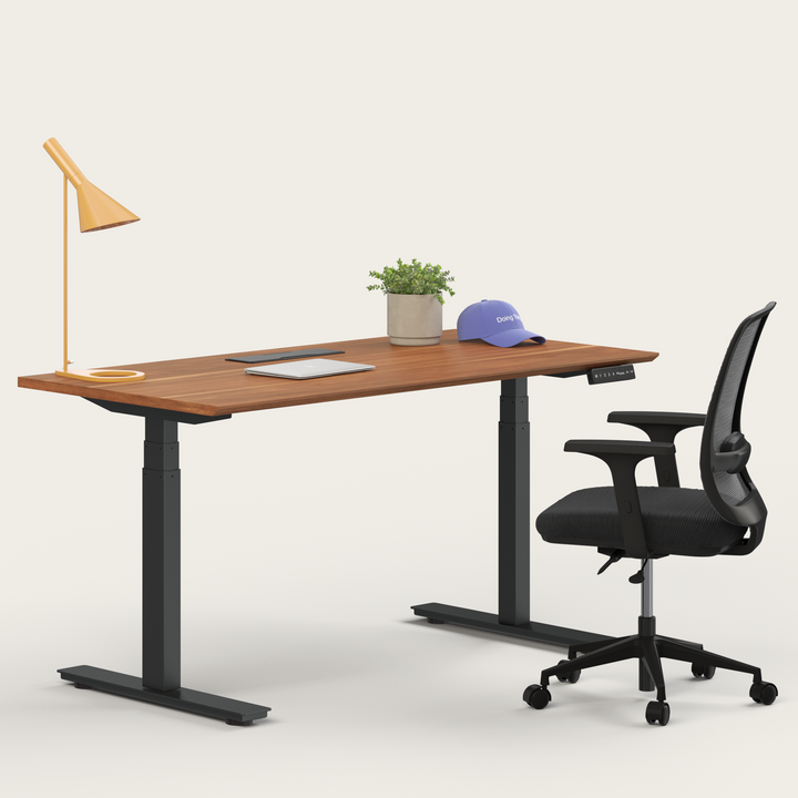 Ergo Bundle
