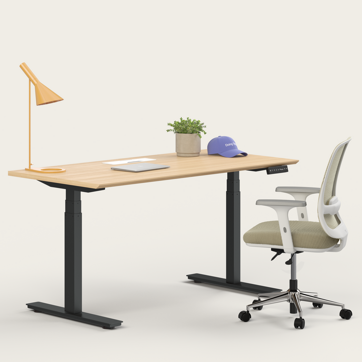 Ergo Bundle
