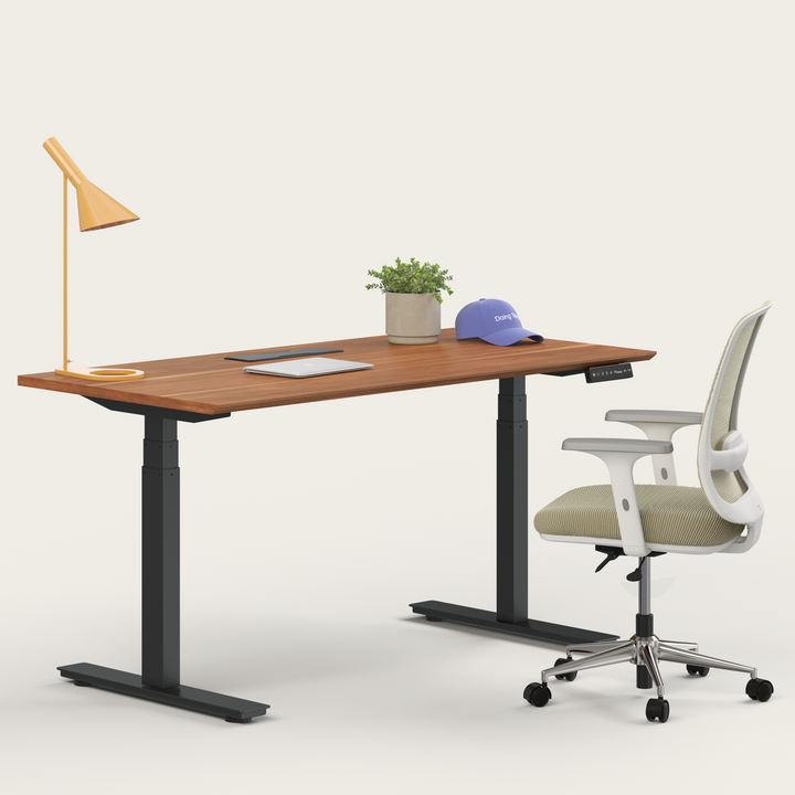 Ergo Bundle