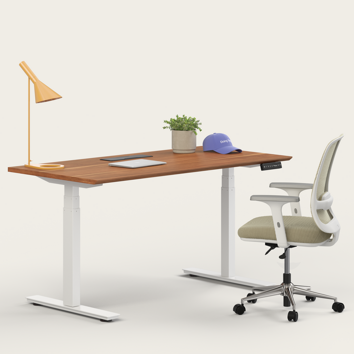 Ergo Bundle