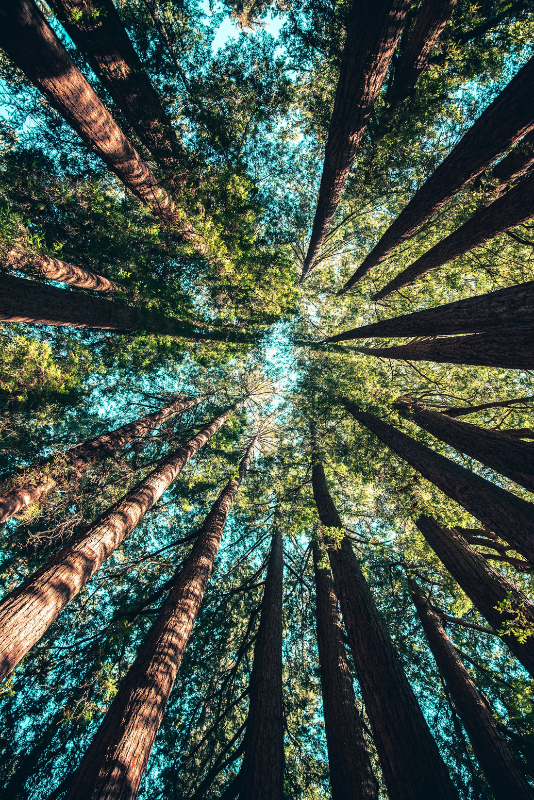 Building a Sustainable Future
