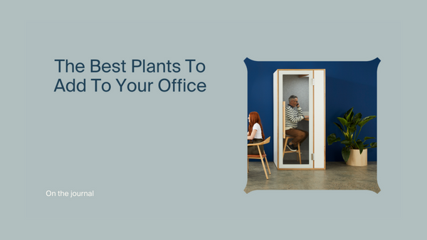 The Best Plants To Add To Your Office Space