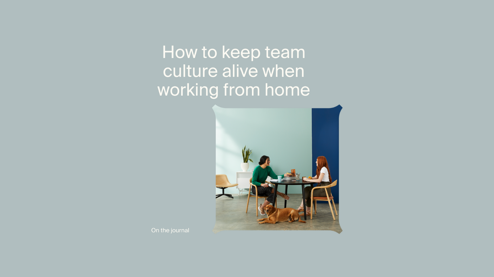 how to keep team culture alive when working from home