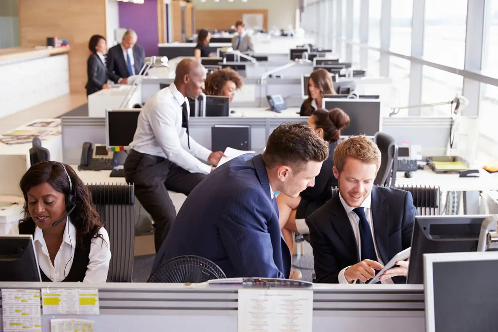 Poor privacy in open office as employees mingle along central working area