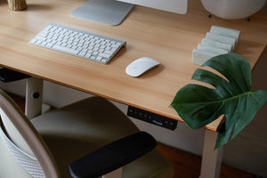 Recess stand up desk and everyday chair paired with Apple computer and green leaf
