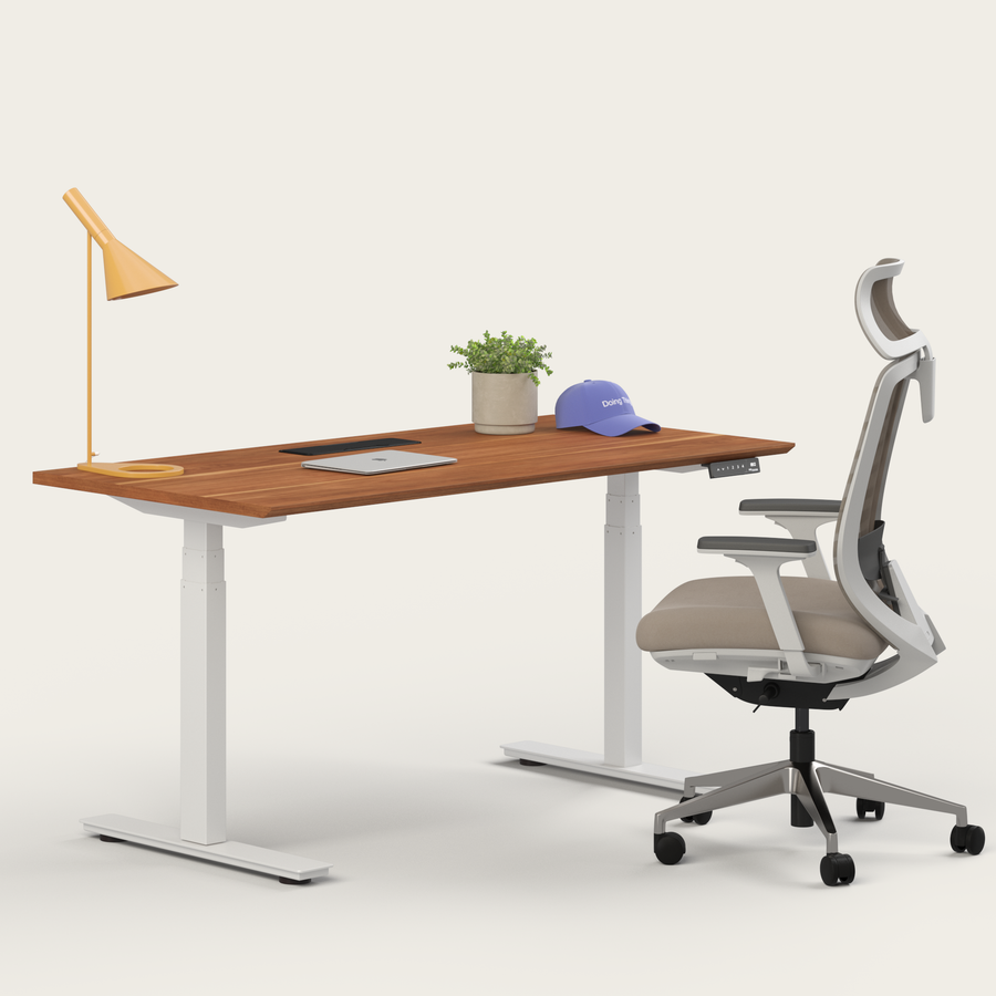 Ergo Pro Set