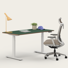Ergo Pro Set