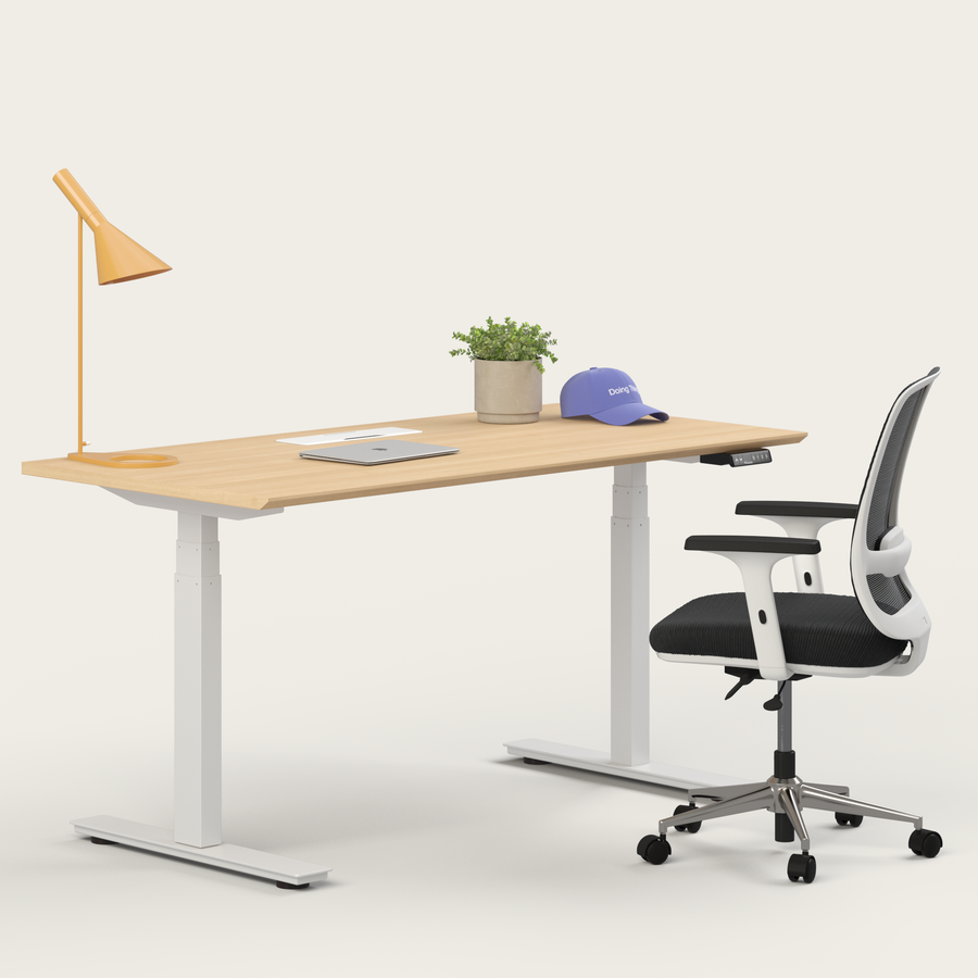 Ergo Bundle