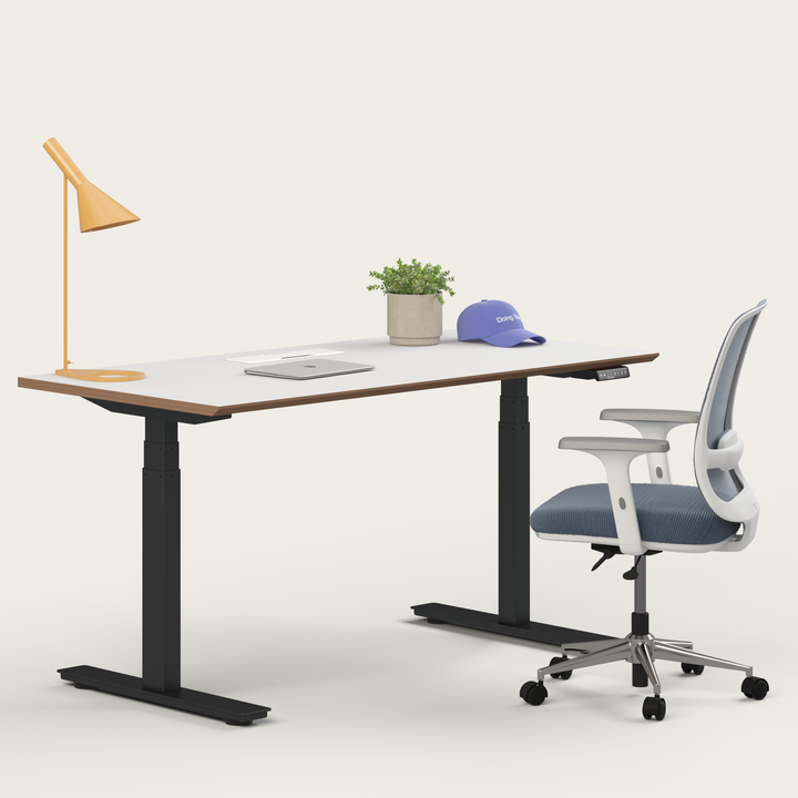 Ergo Bundle