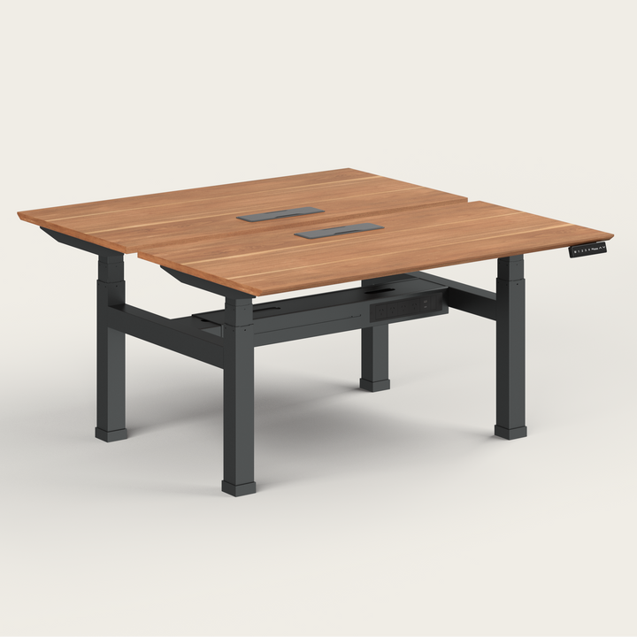 Dual Standing Desk