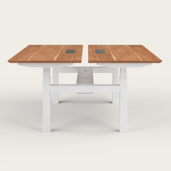 Dual Standing Desk