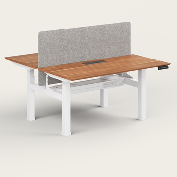Dual Standing Desk - Recess