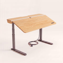 The Elite Standing Desk