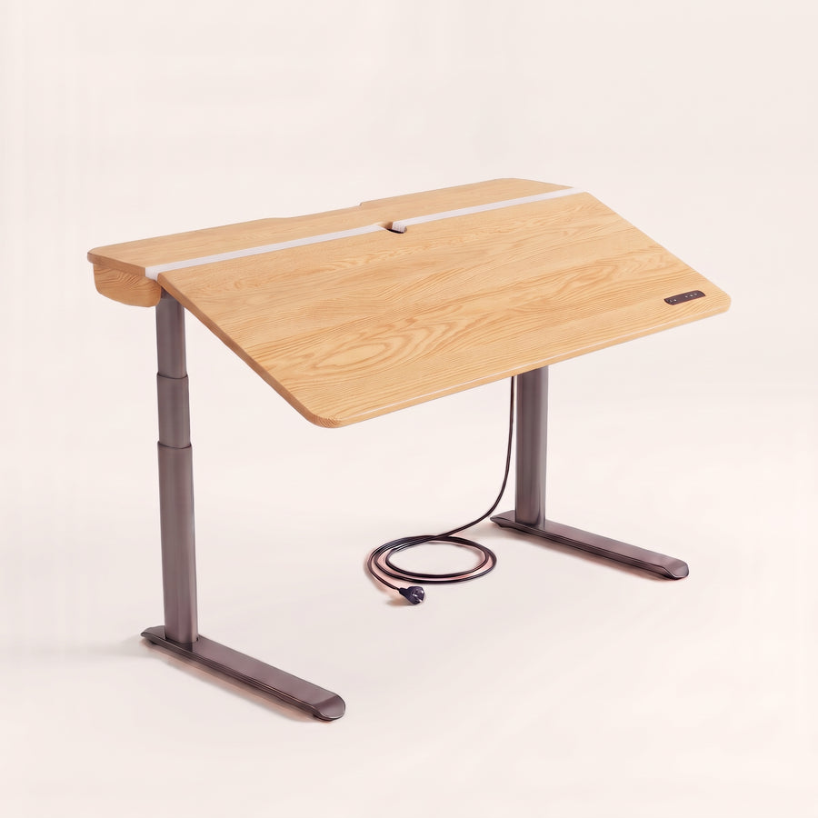 The Elite Standing Desk