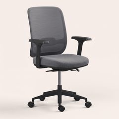Ergo Chair