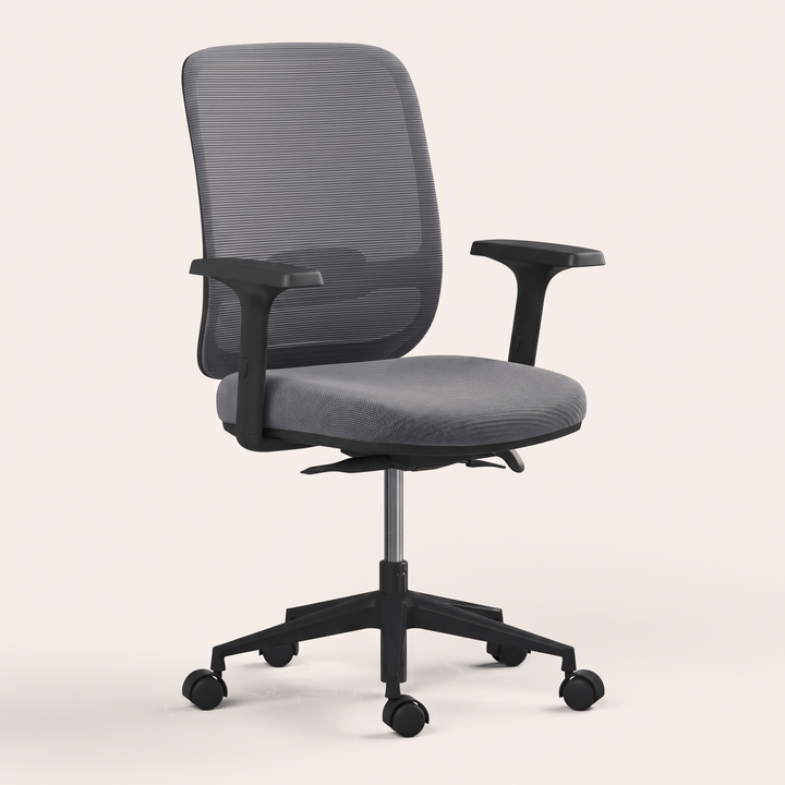 Ergo Chair