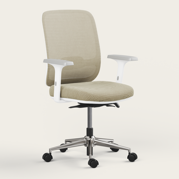 Ergo Chair - Recess