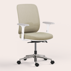 Ergo Chair