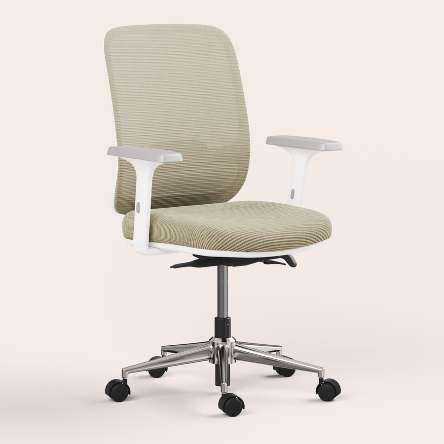 Ergo Chair