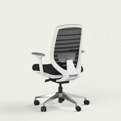Ergo Pro 2.0 - Recess